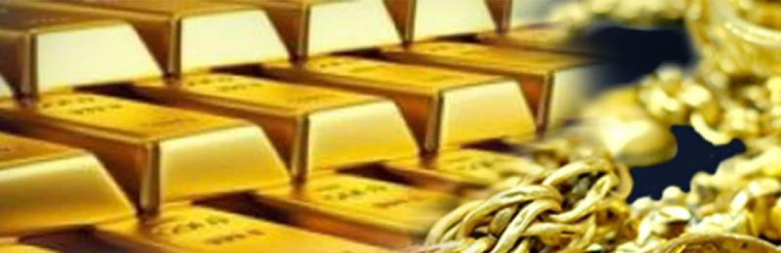 ธีรพัชร์ วงศ์วรนิตย์