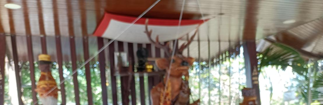 ปณิชา ธนพรสถิต