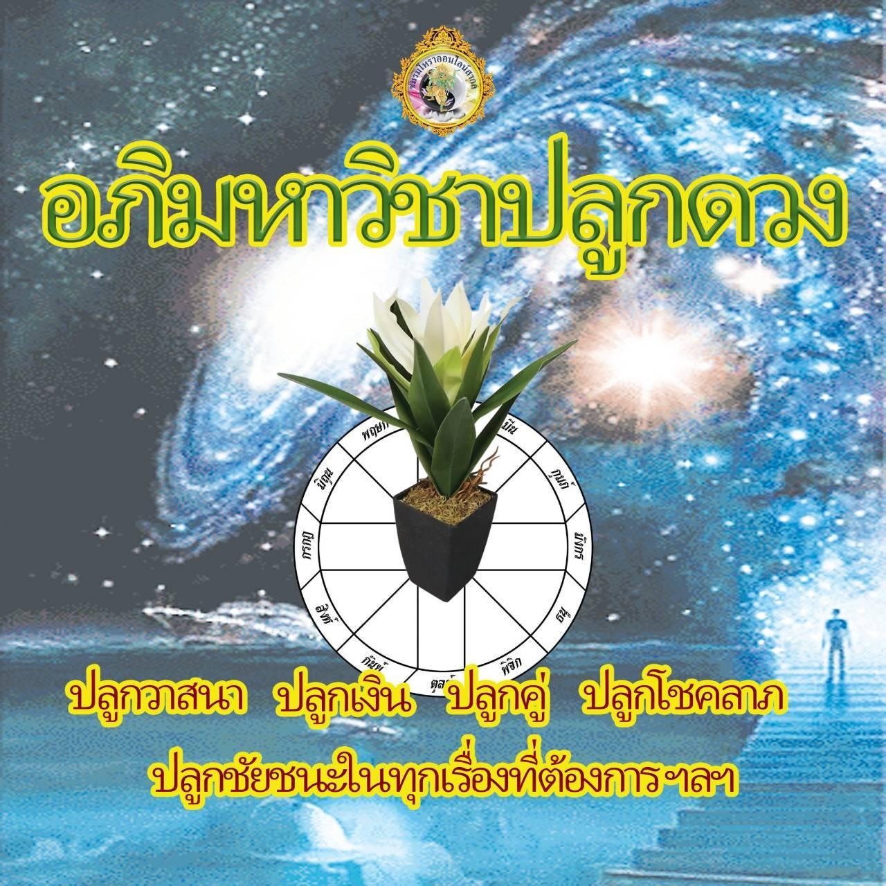 ปลูกดวง