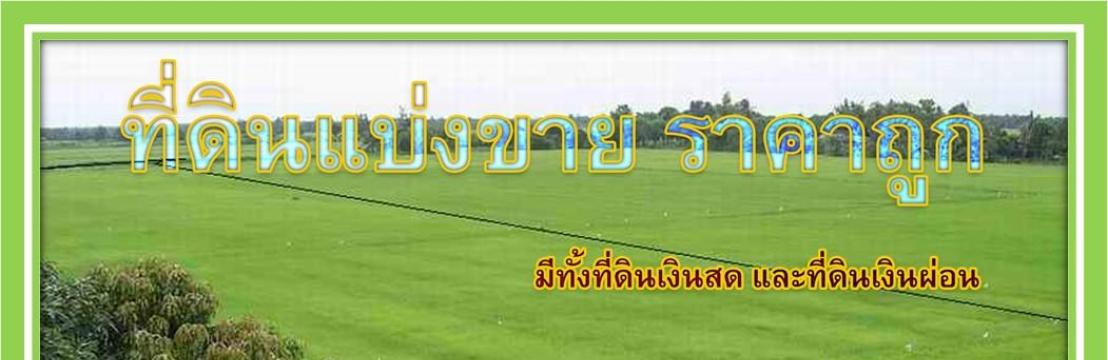 ที่ดินแบ่งขาย ราคาถูก มีทั้งสดและผ่อน
