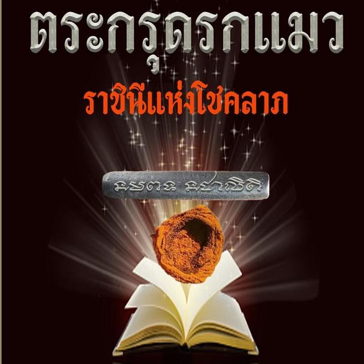 ตระกรุดรกแมว ราชินีแห่งโชคลาภ